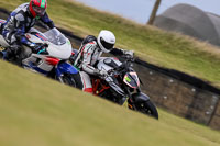 PJ-Motorsport-2019;anglesey-no-limits-trackday;anglesey-photographs;anglesey-trackday-photographs;enduro-digital-images;event-digital-images;eventdigitalimages;no-limits-trackdays;peter-wileman-photography;racing-digital-images;trac-mon;trackday-digital-images;trackday-photos;ty-croes